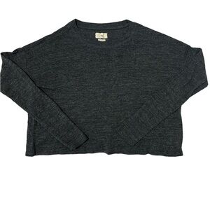 Aritzia TNA long sleeved slouchy crop top